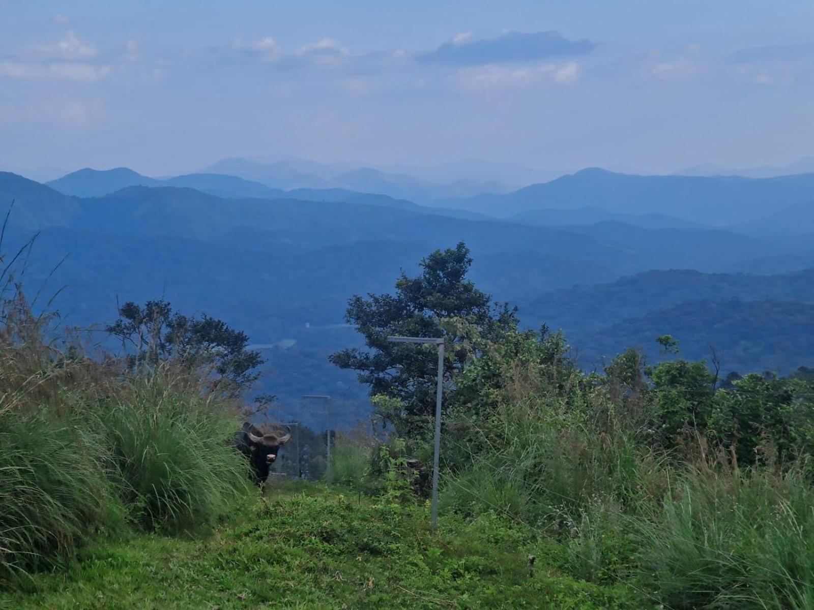 Mountain View Homestay Теккади Экстерьер фото