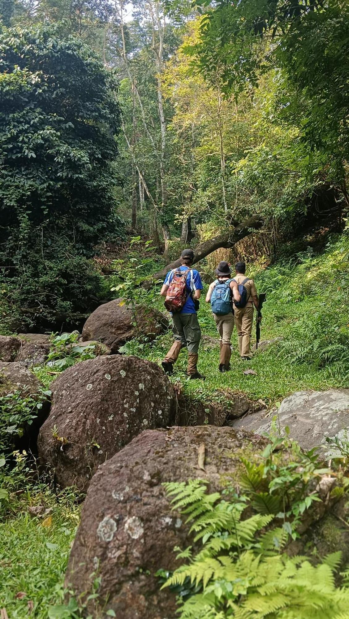 Mountain View Homestay Теккади Экстерьер фото